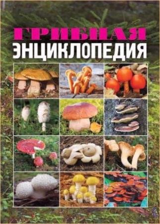 ������� �������� - ������� ������������ 