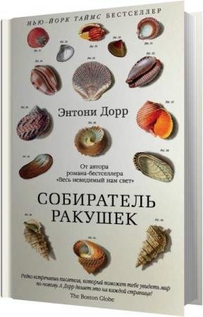 ���� ������ - ���������� ������� (����������)