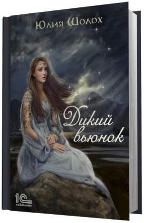 ����� ���� - ����� ������ (����������)