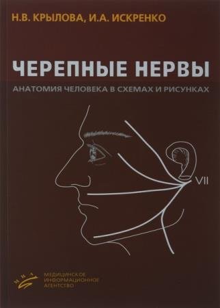 ������� ����  - �������� �����. �������� �������� � ������ � ��������