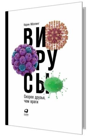 ������: ������ ������, ��� �����