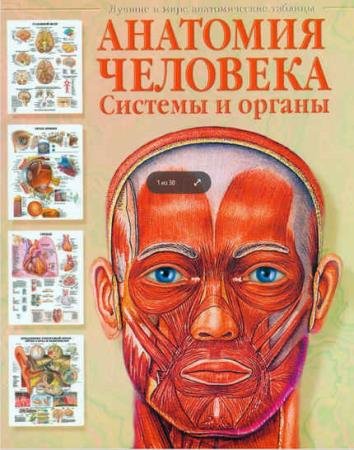 ����� ����� - �������� ��������. ������� � ������