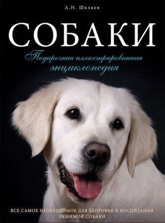 ������ ������ - ������. ���������� ���������������� ������������