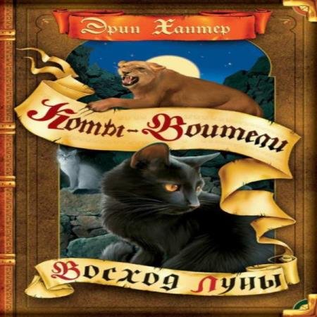 ������ ���� (������ �����)  - ������ ���� (����������)